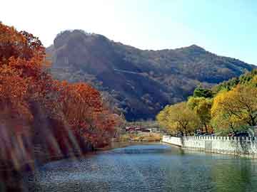 澳彩资料免费长期公开，除泥地垫